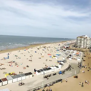 https://apartment-franky.bruges-hotels.info